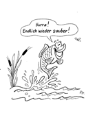 Fisch im sauberen Wasser